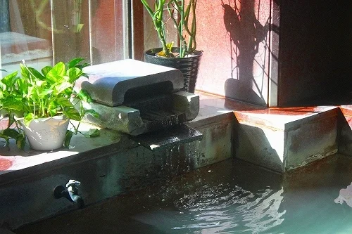 Hakone Gora Guam Dog - Kanagawa