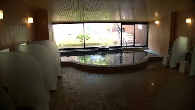 Hakone Lake Hotel - Kanagawa