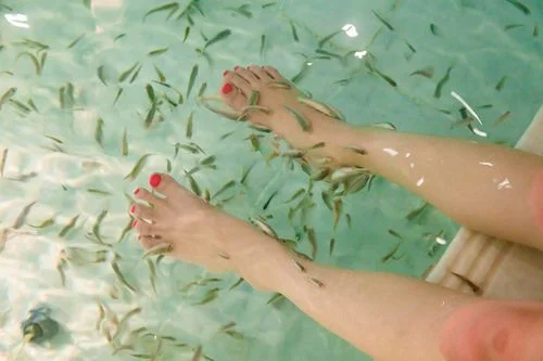 フォトアルバム11