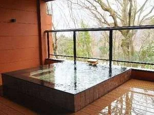 強羅　月の泉 - 神奈川県