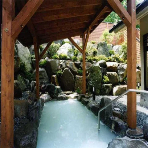 Hakone Akatonbo Hot Spring - Kanagawa