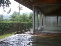 温泉リゾートホテル ウェルテル俵石(閉館しました)