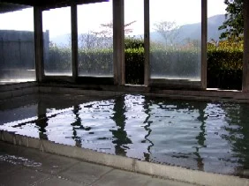 温泉リゾートホテル ウェルテル俵石(閉館しました)