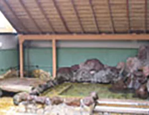 本牧ゆあそび館