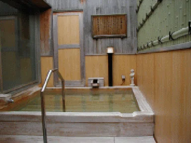 湯プラザウェルネス【閉館しました】