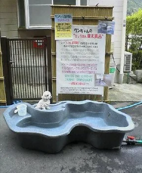 湯遊び処 箱根の湯