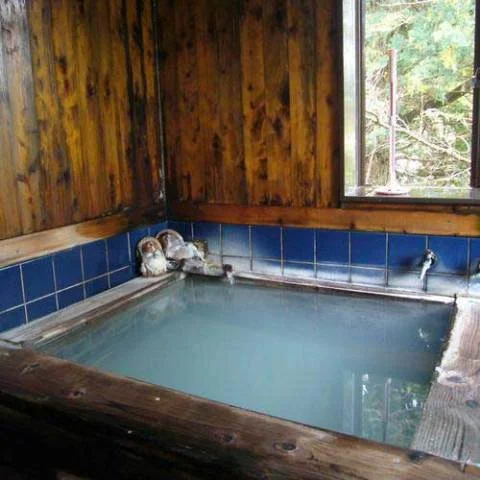 仙石原温泉　伊藤山荘 - 神奈川県