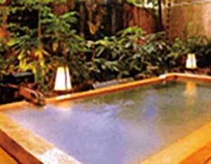 ぜんしきょう 湯河原荘(旧 ホテル湯河原 キャッスル)(閉館しました)