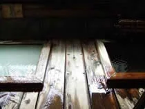 美肌の湯 きのくにや
