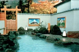 美肌の湯 きのくにや