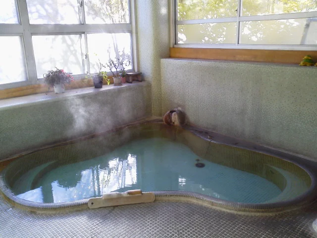 Sen Yugawara (Formerly Kameya Ryokan) - Kanagawa