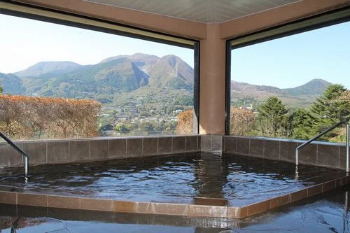 Hakone Elecasa Hotel & Spa - Kanagawa