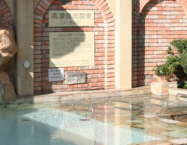 湘南ひらつか太古の湯 グリーンサウナ（閉館しました）