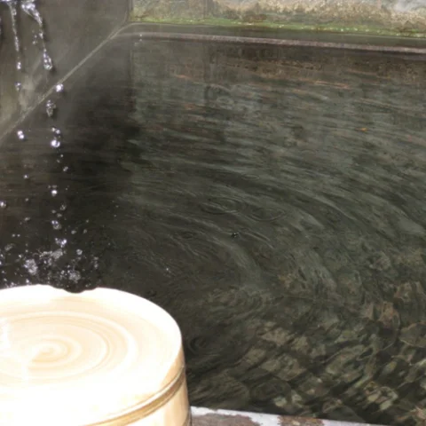 Yugawara Onsen Ryokan Green-so - Kanagawa