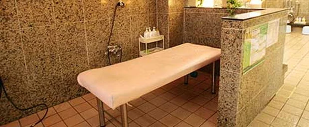 ビジネスイン ニューシティー(閉館しました)