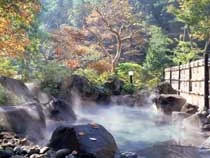 飯山温泉 元湯旅館