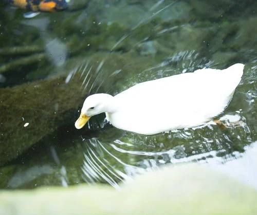 フォトアルバム18