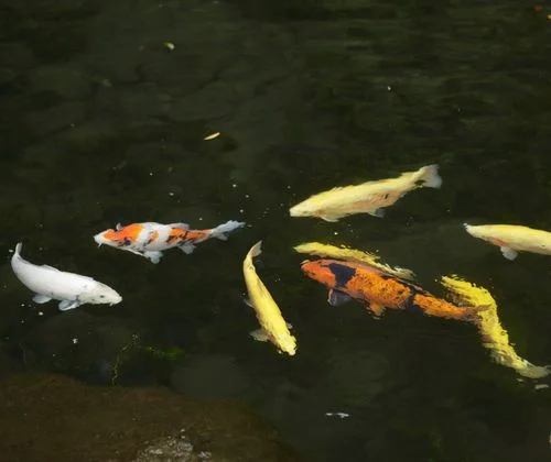 フォトアルバム19