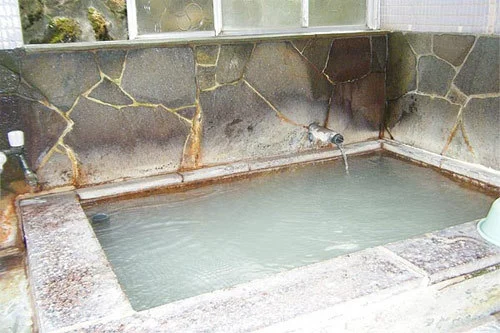 大涌谷温泉　金嶺荘 - 神奈川県