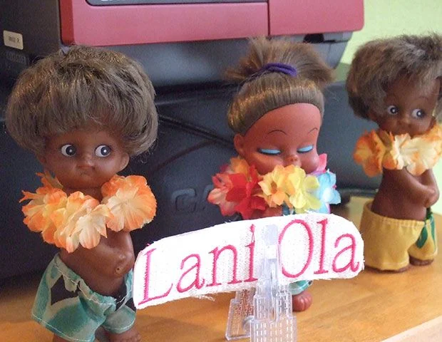 ≪酵素風呂(酵素浴)≫Lani Ola　横浜本店（妙蓮寺）