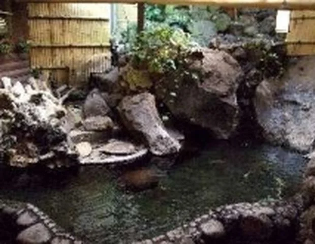 月廼屋旅館