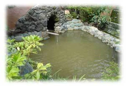 フォトアルバム7