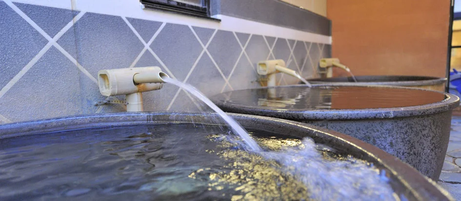 トップメイン画像3