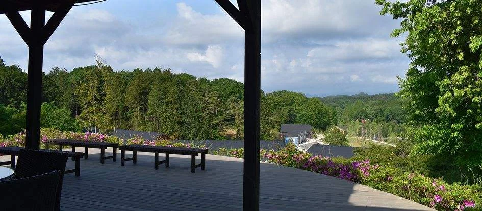 トップメイン画像5