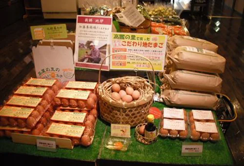 フォトアルバム10