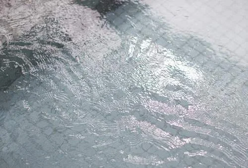 フォトアルバム4