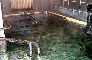 越谷天然温泉美人の湯 湯あそび広場 ゆの華