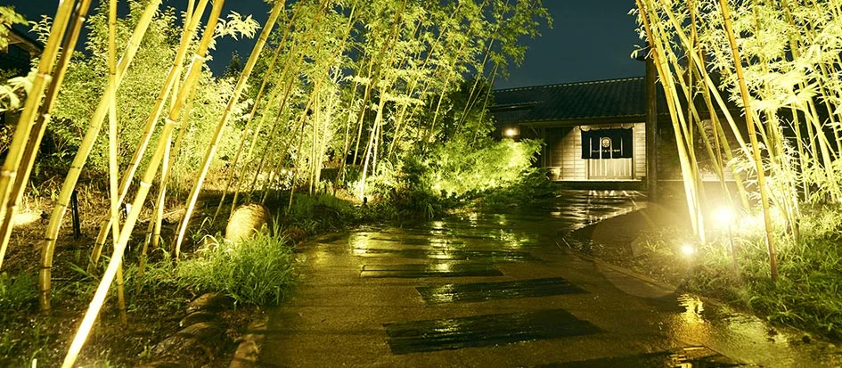 トップメイン画像1