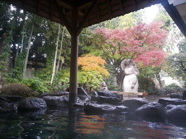 狸 自然乃湯(閉館しました)