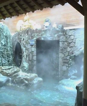 狸 自然乃湯(閉館しました)