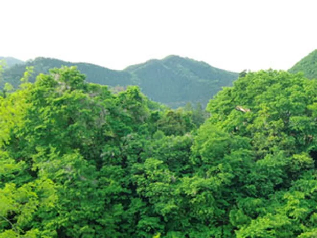 両神温泉 国民宿舎 両神荘