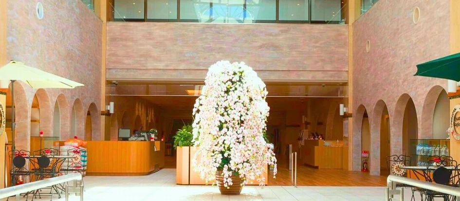 トップメイン画像5