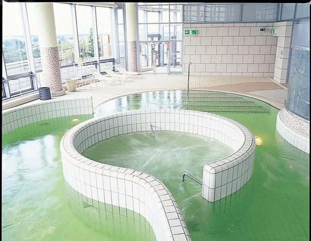 CENTRAL WELLNESS CLUB (THE MARK GRAND HOTEL内)