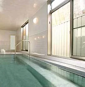 Ogano Onsen Echigoya Ryokan - Saitama