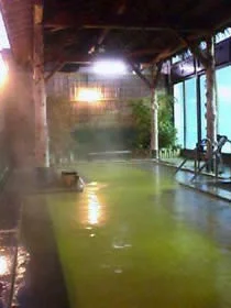 ヘルシーランド らぽーれ(閉館しました)