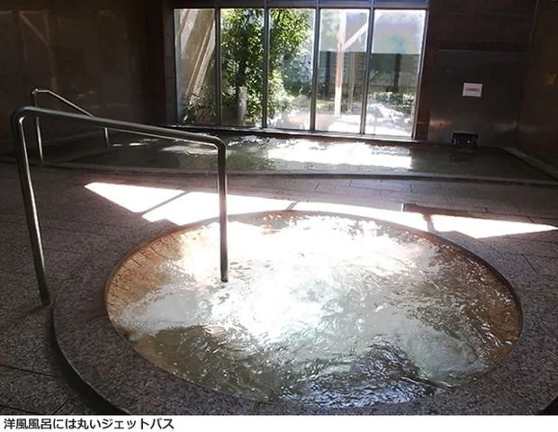 加須市健康ふれあいセンター　いなほの湯