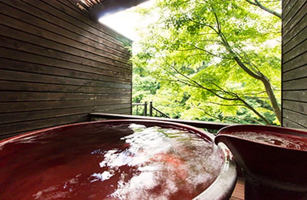 新木鉱泉旅館(あらきこうせんりょかん)