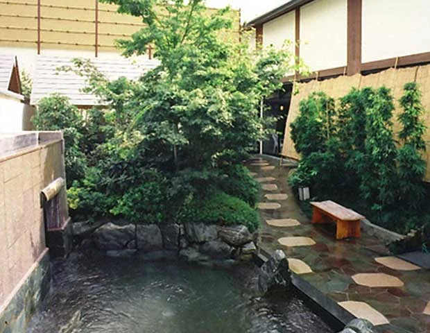 天然温泉 真名井の湯 大井店（まないのゆ）