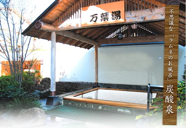 天然温泉 真名井の湯 大井店（まないのゆ）