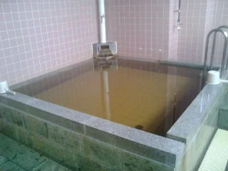 おおとね温泉 100(とね)の湯（休業中）