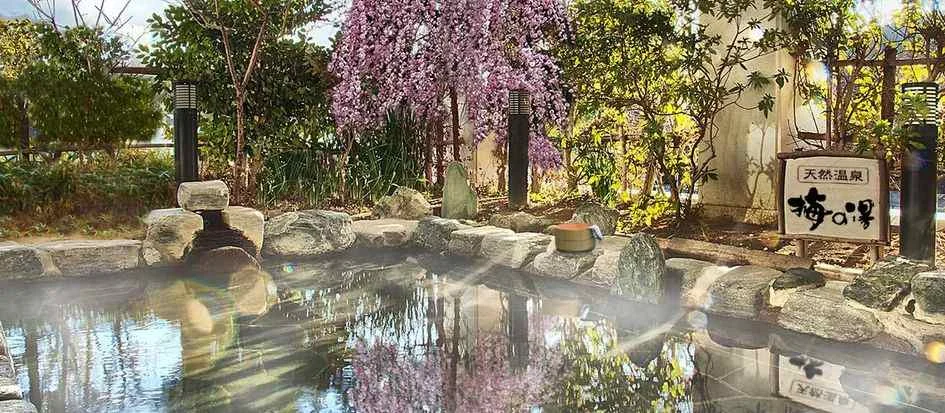 トップメイン画像1