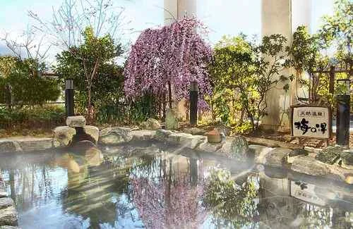 フォトアルバム1