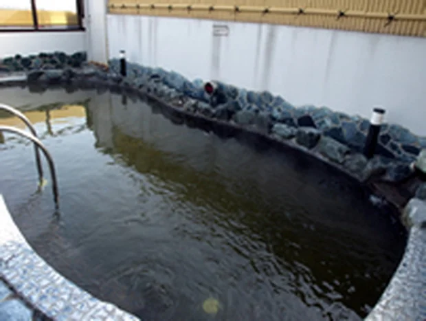 天然温泉 ふるさとの湯