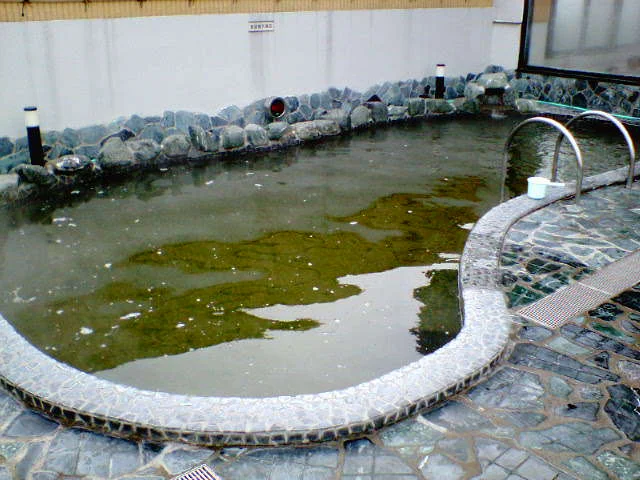 天然温泉 ふるさとの湯