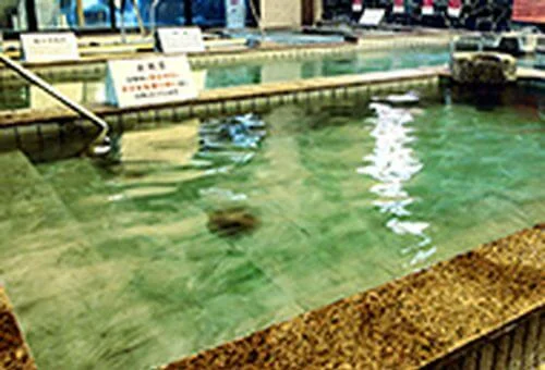 フォトアルバム9