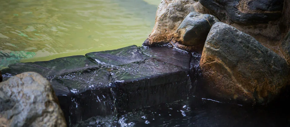 トップメイン画像4